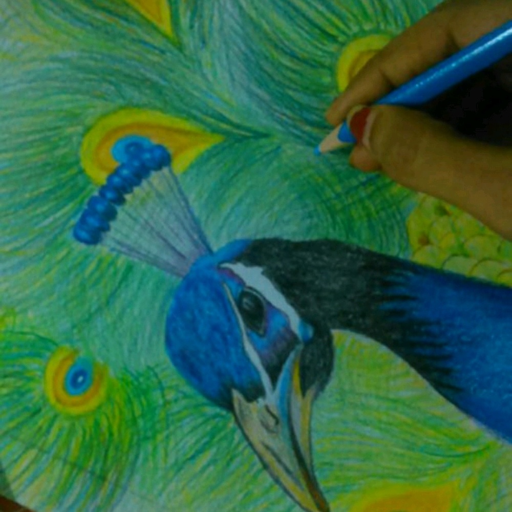 Meet your Posher, Narmadha